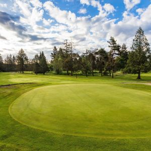 Pitt Meadows Golf Course May 2018-167 small